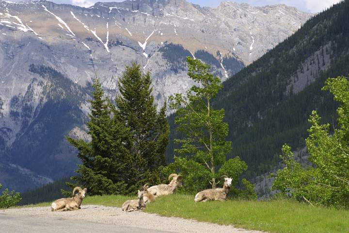 Canada 033.jpg